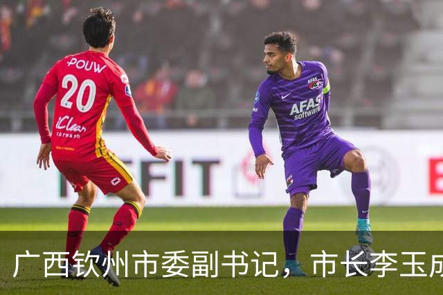 广西钦州市委副书记，市长李玉成简历